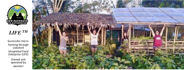 New Pathways to Enterprise